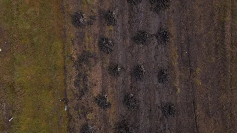 Aerial Top Down View Of Turf Stacks Scattered On Peat Bog Stock Footage 345319293