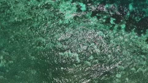 Aerial Top-Down View of Turquoise Coral Reef Shallows, Panglao Island Bohol Vídeo Stock 336644704