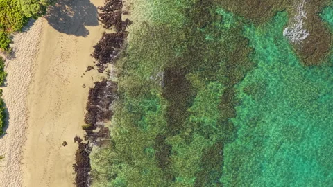 Aerial Top Down View of Turquoise Reef and Sandy Beach on Big Island Hawaii. Stock Footage 342573796