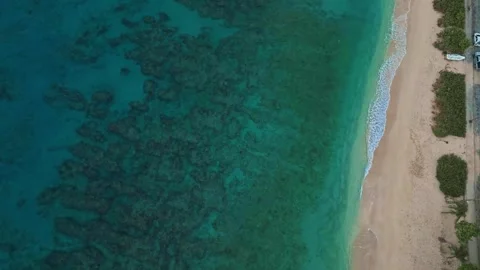 Aerial Top Down View of Turquoise Caribbean Water and Sandy Tropical Beach Vídeo Stock 347634795