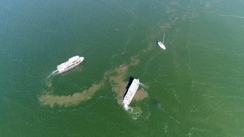 Aerial top down view of two ship forming formation in shallow water 4k Stock Footage 86463989