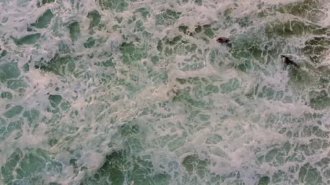 Aerial top down view of two bodysurfers with boards Video stock 331899571