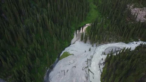 Aerial Top Down View of Two Merging Mountain Rivers - Clear and Silty Video stock 332204963