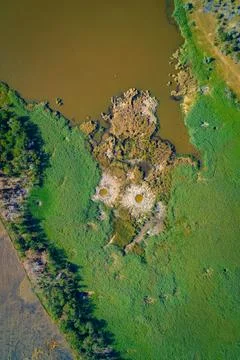 Aerial Top Down View of Two Shell Craters in Marshland. Conflict Impact on Stockfoto's