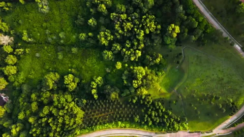 Aerial top down view of unique outdoor park Stock Footage 170730453