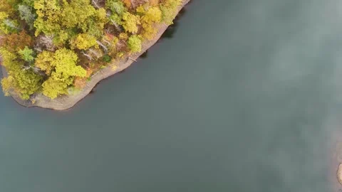 Aerial top-down view of vibrant autumn trees on a lake shoreline... Stock Footage 319884167
