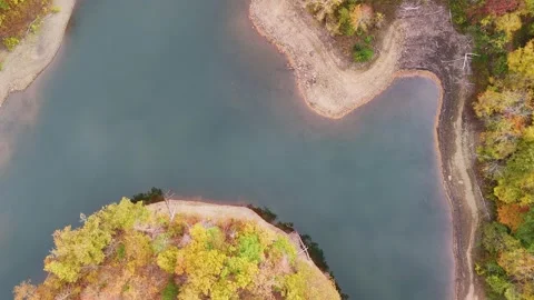 Aerial top-down view of vibrant autumn forest meeting a lake shoreline... Stockbeeldmateriaal 319884216