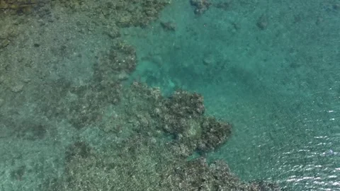 Aerial top-down view of a vibrant coral reef system in Fiji. Stock Footage 325942330