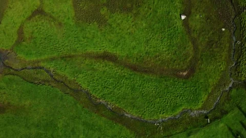 Aerial Top Down View of Vibrant Green Valley with Glacial Streams - Abstract Tex Video stock 331596975