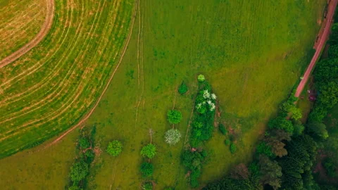 Aerial Top-Down View of Vibrant Green Farm Fields and Countryside Forest 库存影片 338362150