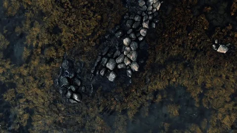 Aerial top down view of volcanic basalt formation on the sea in West Iceland Stock Footage 116185512
