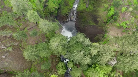 Aerial top down view of waterfall in the forest. Vídeo Stock 158028887