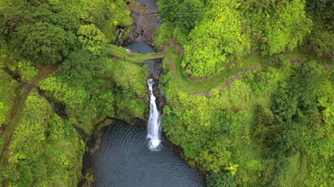 Aerial Top Down View of Waterfall on Road to Hana Maui Hawaii Island USA. 스톡 동영상 346271386