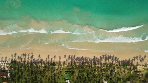 Aerial top down view of waves on Nacpan Beach with coconut palms in El Nido Stock Footage 337022567