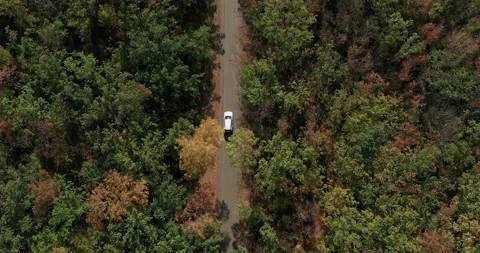 Aerial top down view of white car driving on country road in forest in at. Stock Footage 158474848