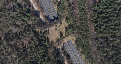 Aerial top down view of wild life passage over the highway. The Netherlands. 스톡 동영상 304022845