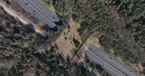 Aerial top down view of wild life passage over the highway. The Netherlands. 스톡 동영상 305020541