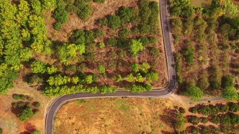 Aerial top down view of a winding road through tropical fruit plantations Stock-Footage 334859548