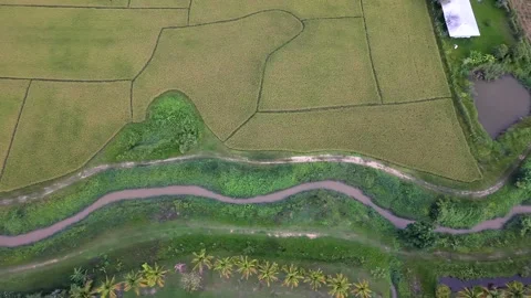 Aerial top down view of a winding river and agricultural fields crop Stock-Footage 335129019