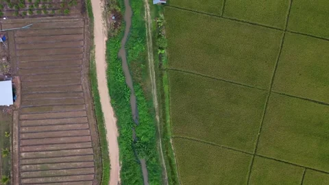 Aerial top down view of a winding creek near rural fields and orchard Stock-Footage 335129025