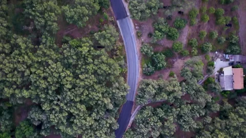 Aerial Top Down View of Winding Asphalt Road Cutting Through Dense Green Forest Stock Footage 346146915