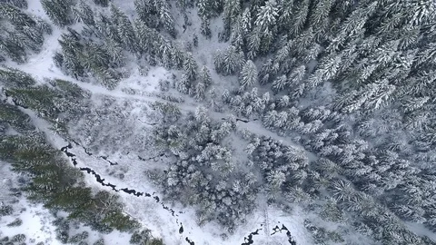 Aerial top down view winter concept. Landscape with winter trees, frozen river Video stock 85297126