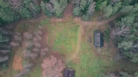 Aerial top down view of the winter forest. Drone is moving forward Stock Footage 170138882