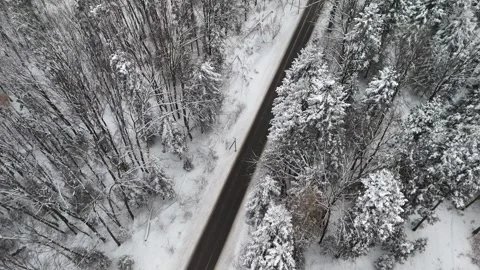 Aerial top down view of winter forest road covered with snow. Drone flies Stock-Footage 327386397
