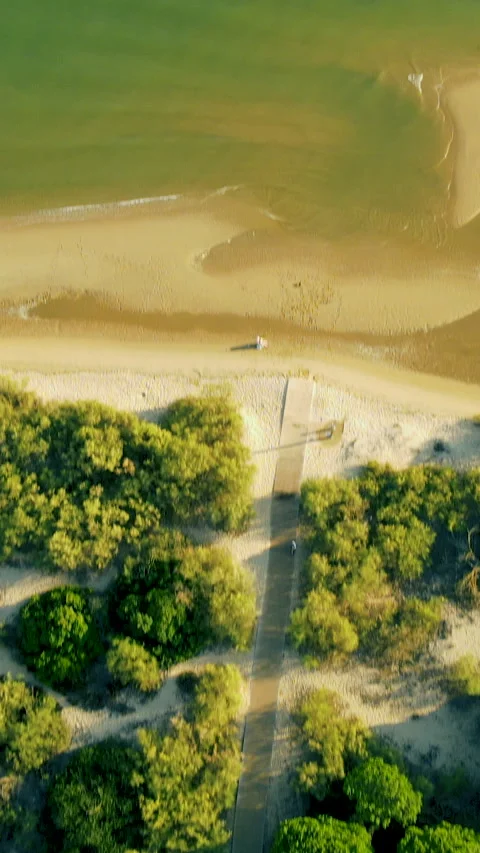 Aerial Top Down View Of Wooden Boardwalk Through Coastal Dunes In Spain Stock Footage 340902553