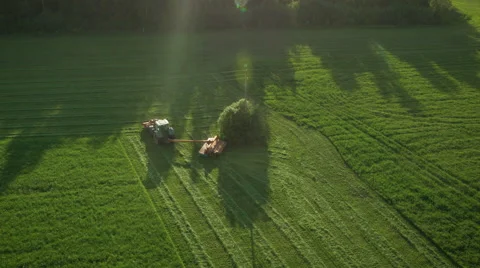 Aerial Top down View of Working Agricultural Harvester on Green Field. Stock Footage 64935059