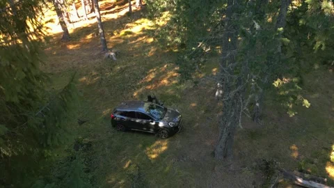Aerial top down view of young woman getting out of  hybrid SUV car in a forest Stock Footage 293157548