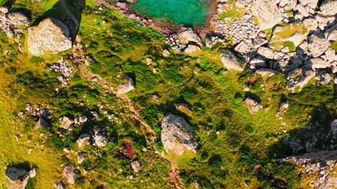 Aerial top down views scenic green glacier lake in Kazbegi national park. Geo Stock-Footage 162230684