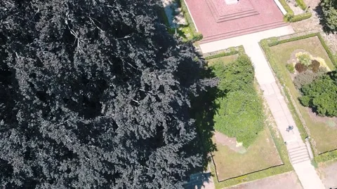Aerial top down of Washington Park garden and Portland nature scape sunny s.. 動画素材 294258182