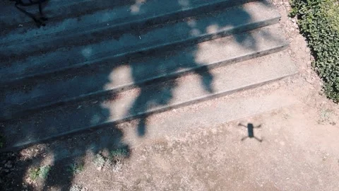 Aerial top down of Washington Park garden drone landing on sunny summer day.. 스톡 동영상 294258233
