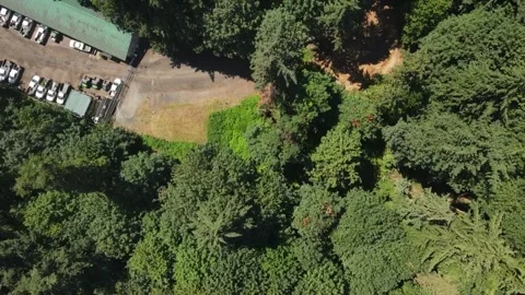 Aerial top down of Washington Park garden and Portland nature scape sunny s.. Stock Footage 294264880