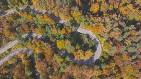 AERIAL TOP DOWN: Winding mountain road looping through colourful autumn forest Stock Footage 345095805