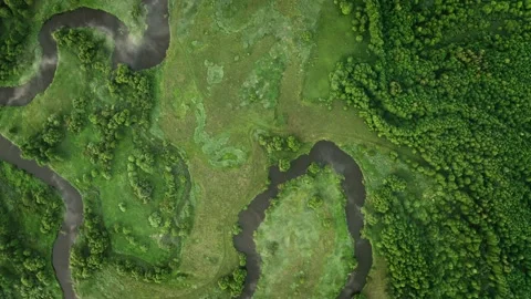 Aerial top down winding river. Clouds of fog over water surface. Misty dawn Video stock 133913168