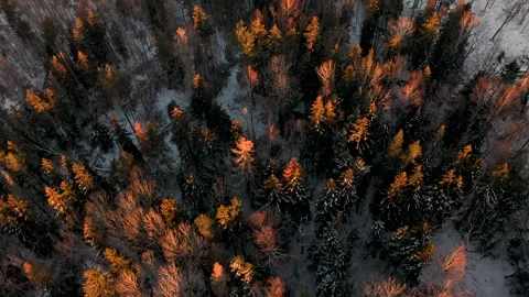Aerial top down winter landscape forest in Sweden. Beautiful sunset and snow. Stock Footage 285845763