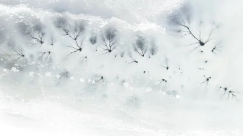 Aerial top-down winter view of frozen lake, ice texture with cracks. 스톡 동영상 251830793