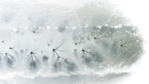 Aerial top-down winter view of frozen lake surface with cracks 스톡 동영상 253873828