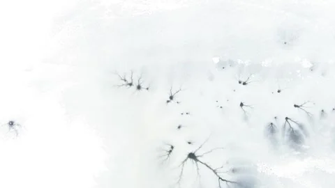 Aerial top-down winter view of frozen Tapeliai lake, ice texture with cracks Stock Footage 254636297