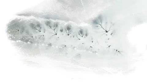 Aerial top-down winter view of frozen Tapeliai lake, ice texture with cracks Видео 255811390