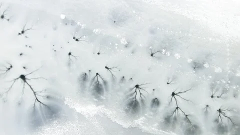 Aerial top-down winter view of frozen lake surface with cracks 스톡 동영상 302128622