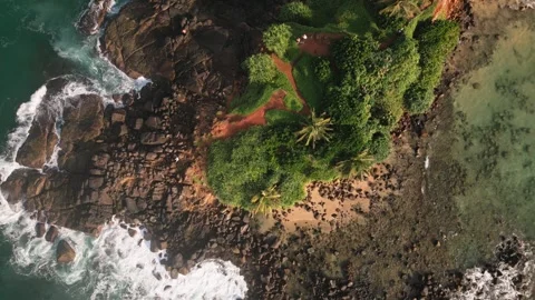 Aerial top down zoom view Tourists Sightseeing Parrot Island surrounded by .. Vídeos de archivo 309392311