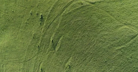 Aerial top: forest &amp; meadow Stock Footage 132504331