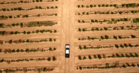 Aerial Top Forward Shot Of Pull Up Truck Moving On Road Amidst Agricultural Stock Footage 185447012