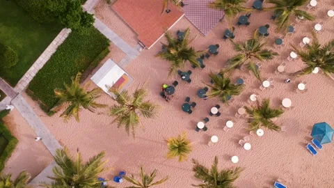 Aerial top shot of empty sun loungers and tables on sparse beach in United Stock Footage 133202651
