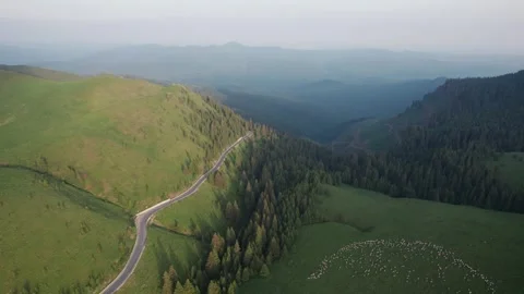 Aerial top view above Transbucegi winding road, in Transylvania	 Stock Footage 247006601