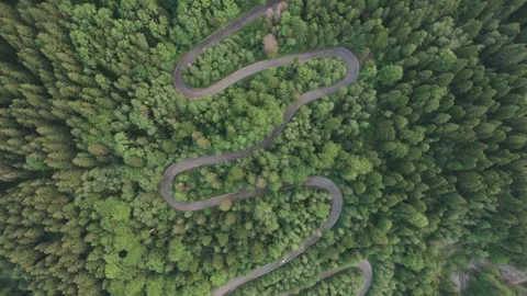 Aerial top view above Transbucegi winding road, in Transylvania	 Stock Footage 247006635