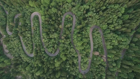 Aerial top view above Transbucegi winding road, in Transylvania	 Stock Footage 247006644
